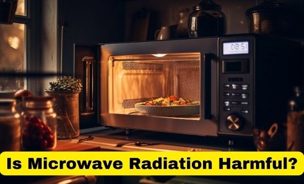 Is Microwave Radiation Harmful