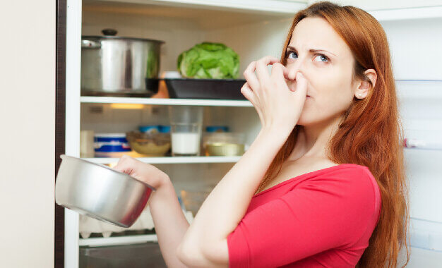 Get rid of refrigerator smell