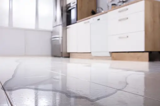 Fridge leaking water